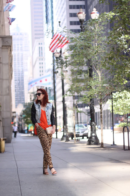 leopard lovin'