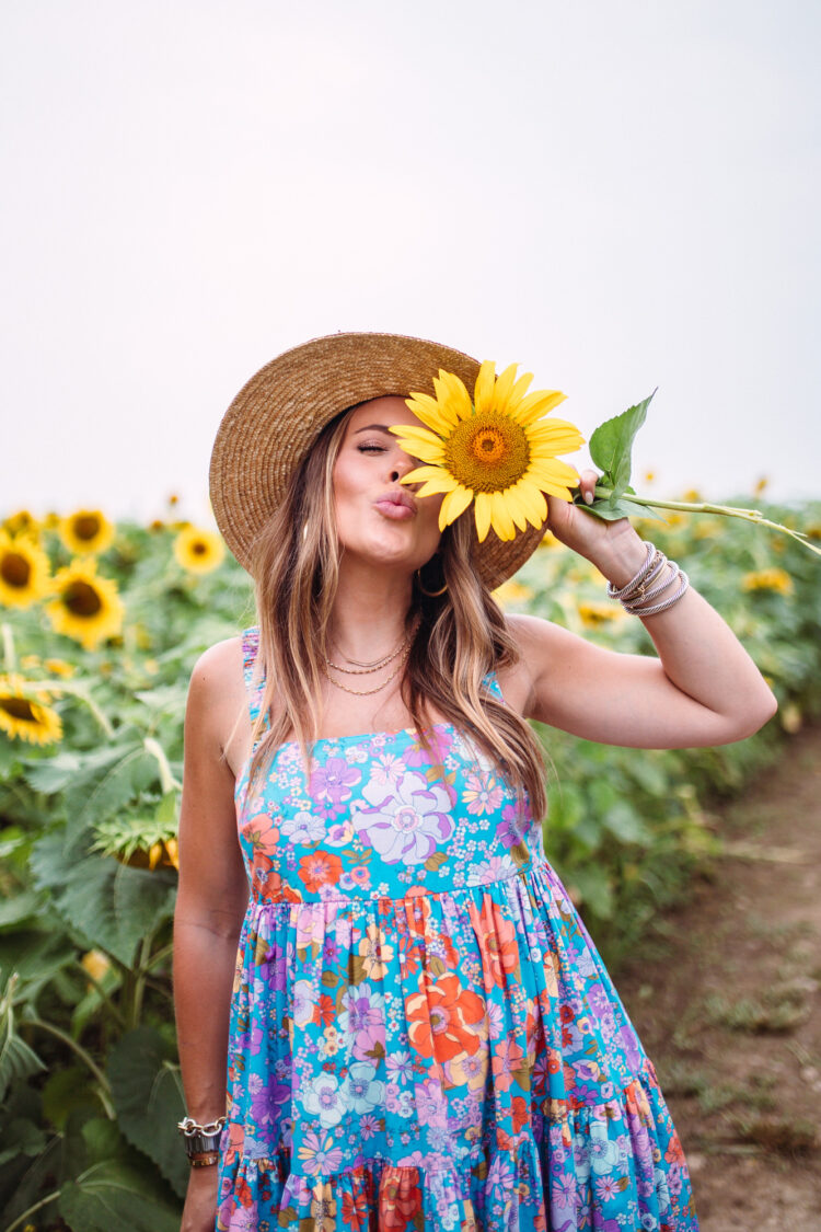 Kentucky Sunflower Field / Glitter & Gingham